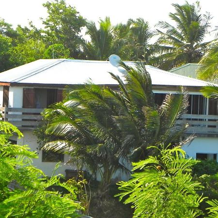 Wild Paradise: Villa Vue Mer Piscine A Debordement لو مول المظهر الخارجي الصورة